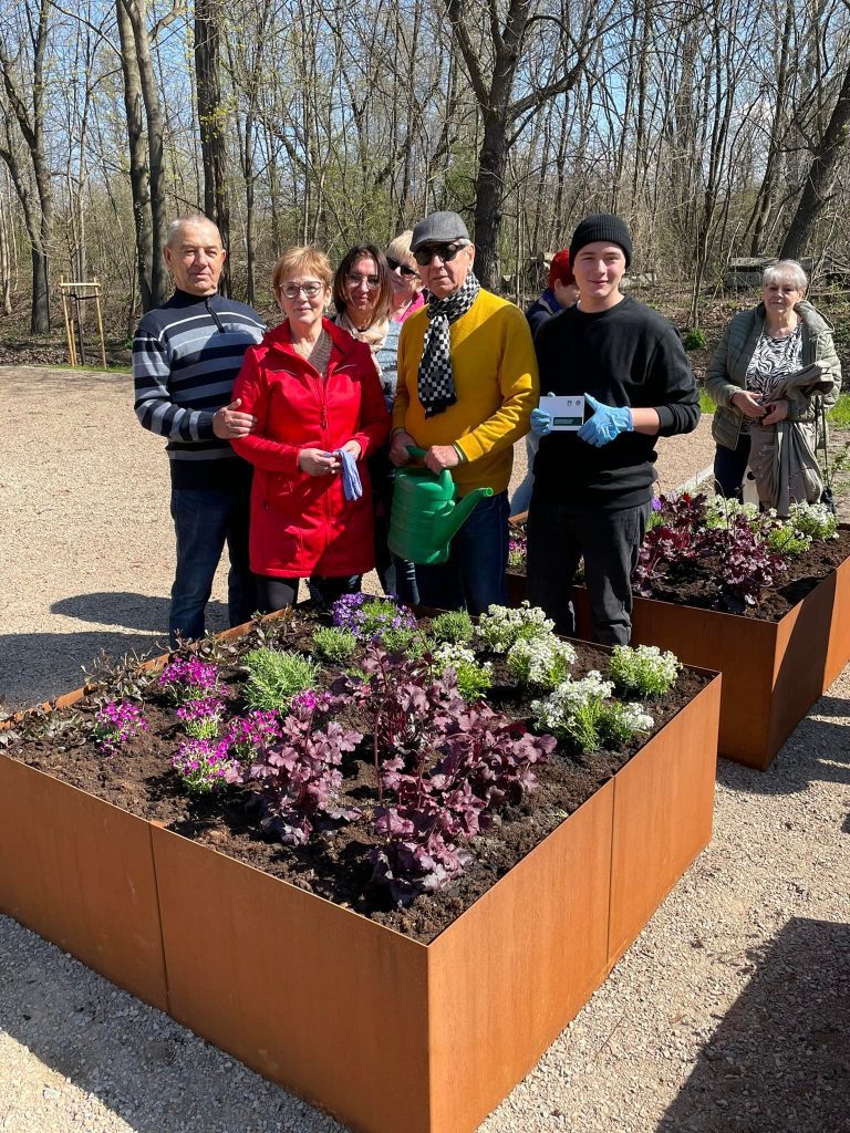 Zasadzenie kwiatów przez Sekretarza MRMM Kacpra Górnego we współpracy z Mysłowicką Radą Seniorów