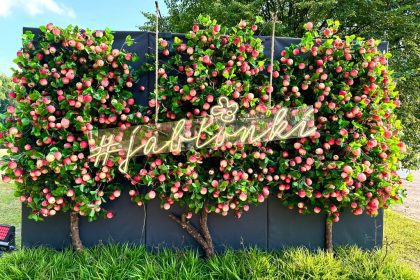 Festiwal Jabłonki Swawole