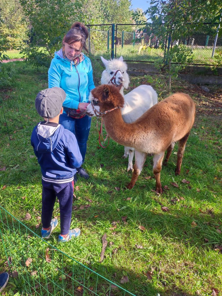 Święto Pieczonego Kartofla