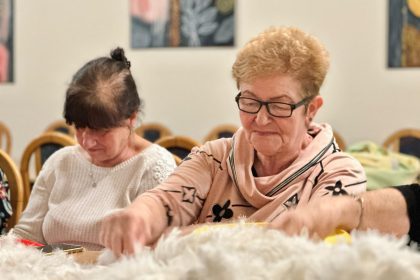 Wyszkubki w Dziećkowicach