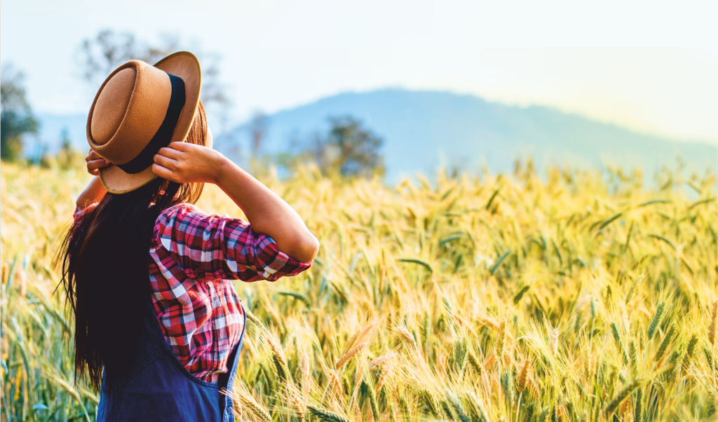 Święto Plonów 2019