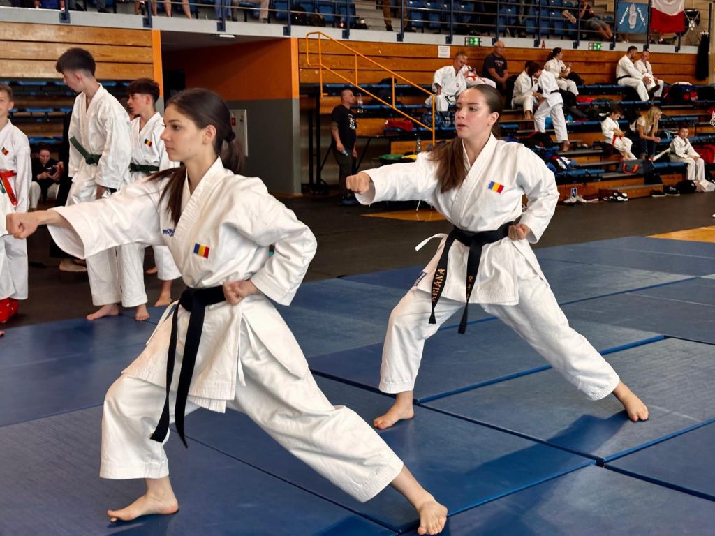 Mistrzostwa Europy w sztukach walki IMAF