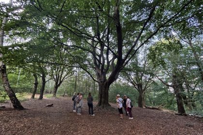 Warsztaty lasoterapii dla seniorów w ramach projektu „Las opowieści”