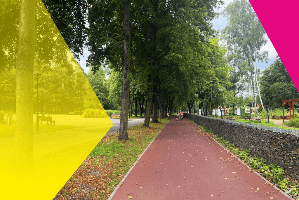 Zamelduj się w Mysłowicach – inwestuj w lepszą przyszłość!