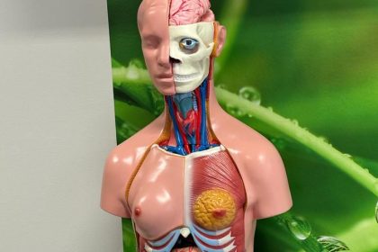 Zielona Pracownia – „Zagrajmy w zielone” w Zespole Szkół Specjalnych im. Janusza Korczaka