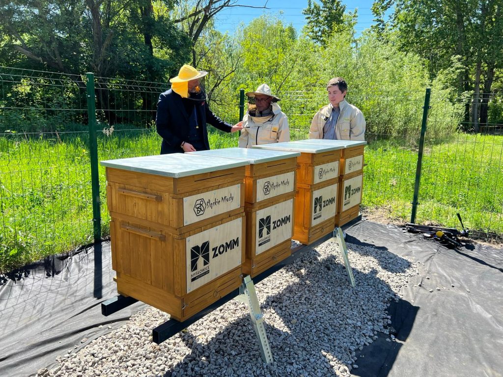 Montaż pierwszej miejskiej pasieki pszczół na Promenadzie