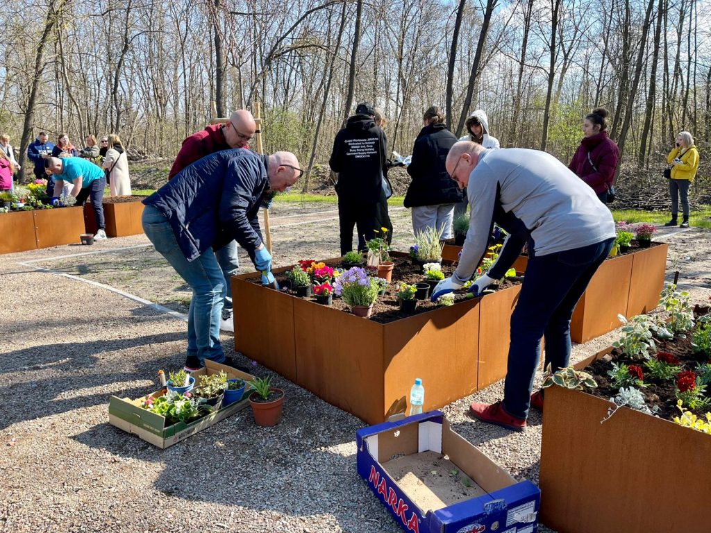Mikroogrody w Parku Zamkowym