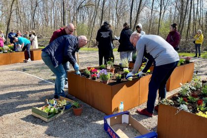 Mikroogrody w Parku Zamkowym