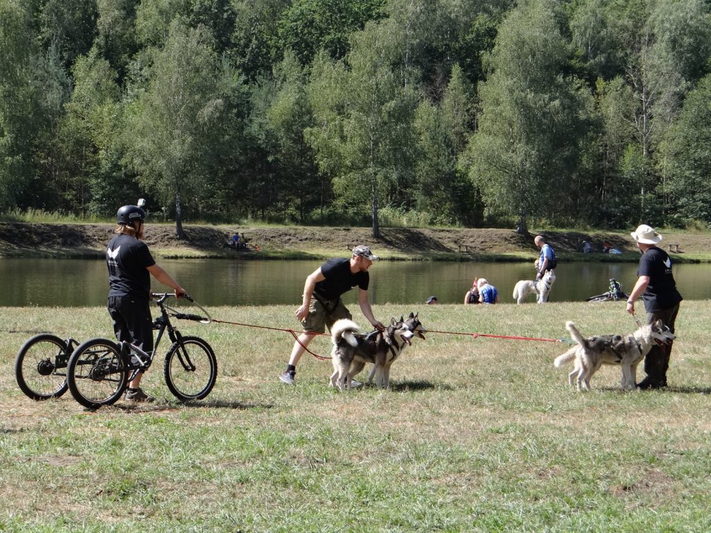 Przed nami II Mysłowicki Dogtrekking!