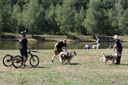 Przed nami II Mysłowicki Dogtrekking!