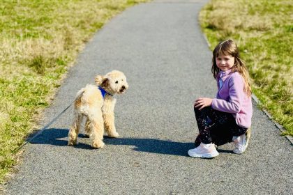 Miejski spacer z psami