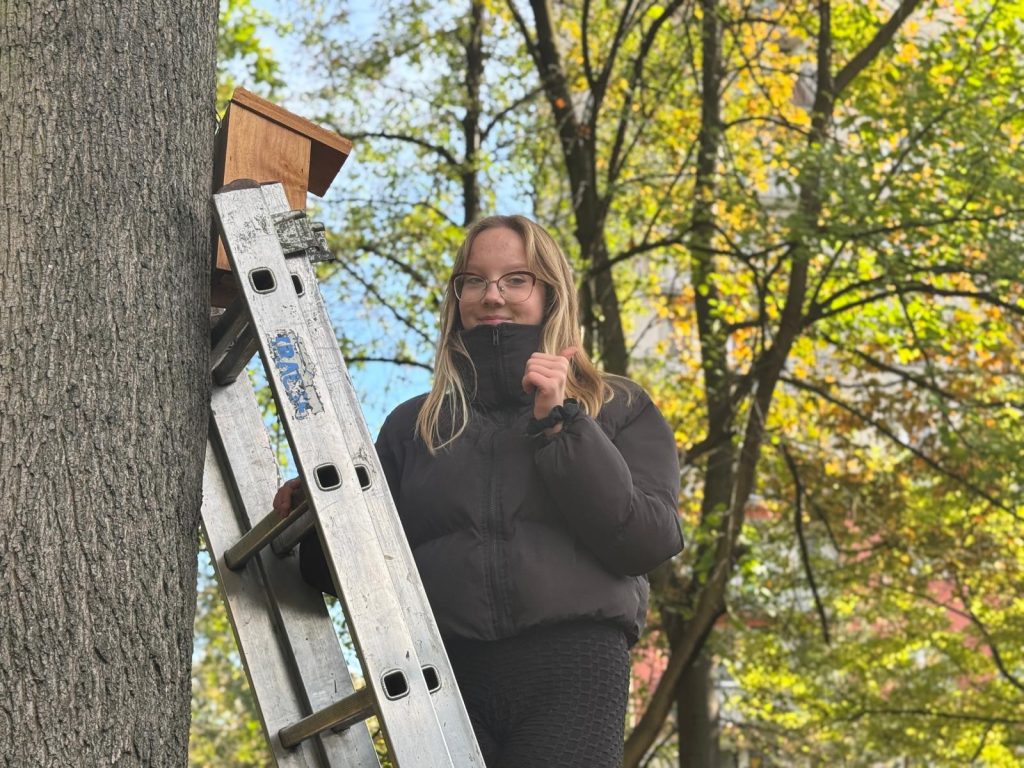 Wieszanie budek lęgowych ze społecznością szkolną SP2