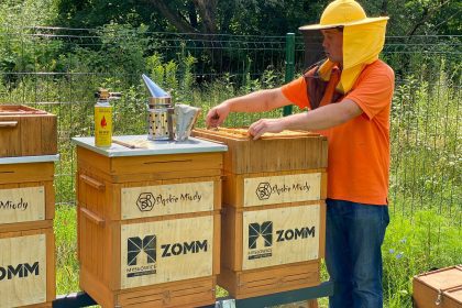 Pierwsze miodobranie z miejskiej pasieki na Promenadzie