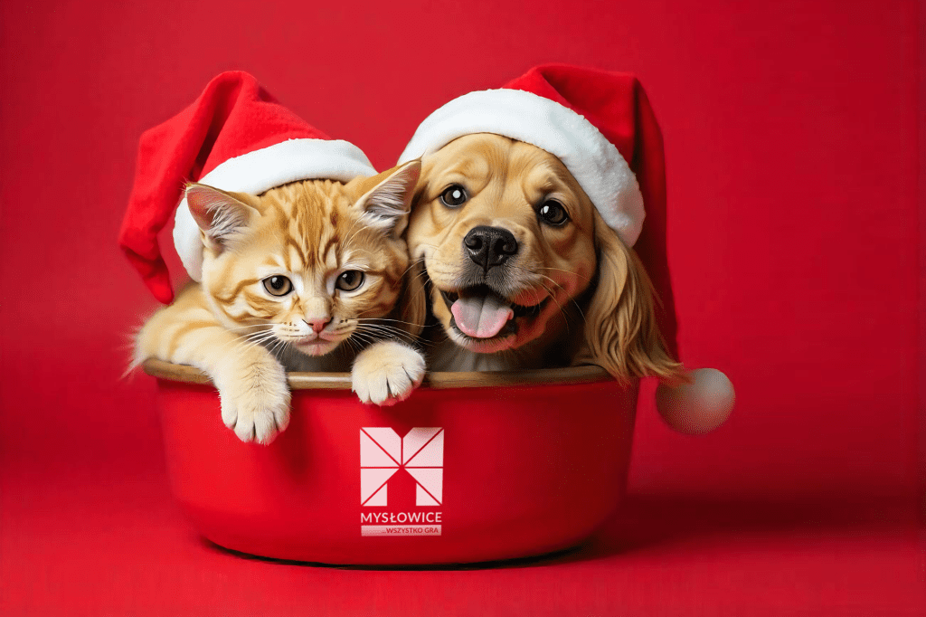 PODARUJ MISKĘ SZCZĘŚCIA! PRZEDŚWIĄTECZNA ZBIÓRKA KARMY!