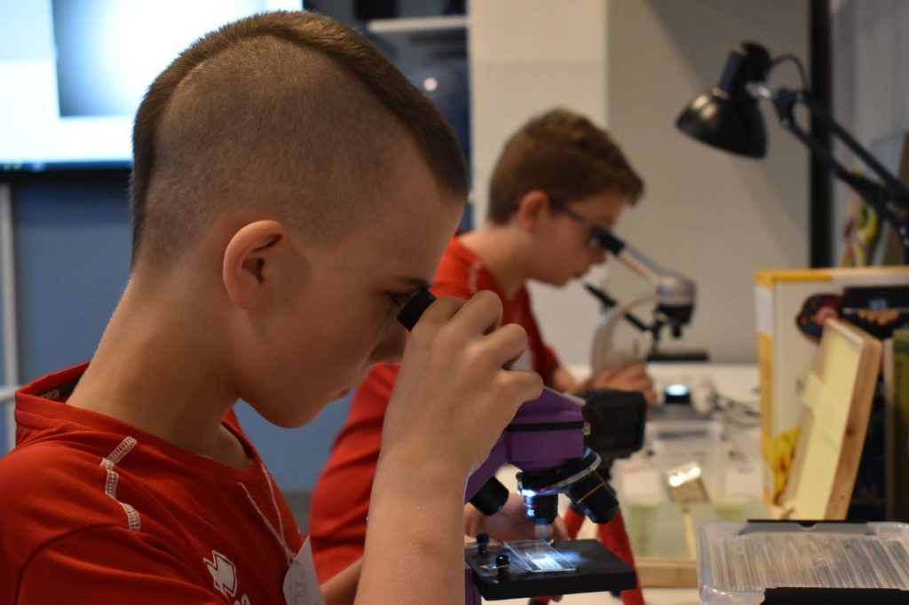 Zielona Pracownia w SP nr 2 im. Bolesława Prusa w Mysłowicach – Zielona pracownia dwójki