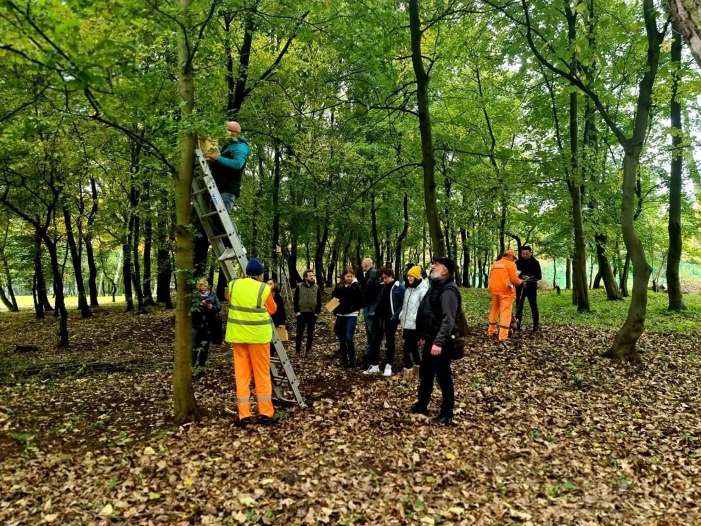 Wieszanie domków dla wiewiórek w Parku Zamkowym
