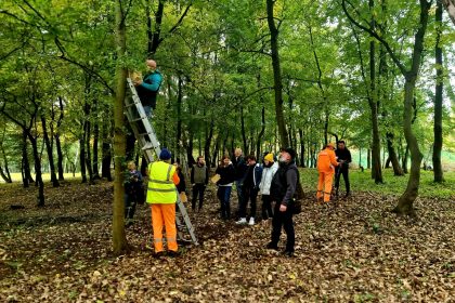 Wieszanie domków dla wiewiórek w Parku Zamkowym