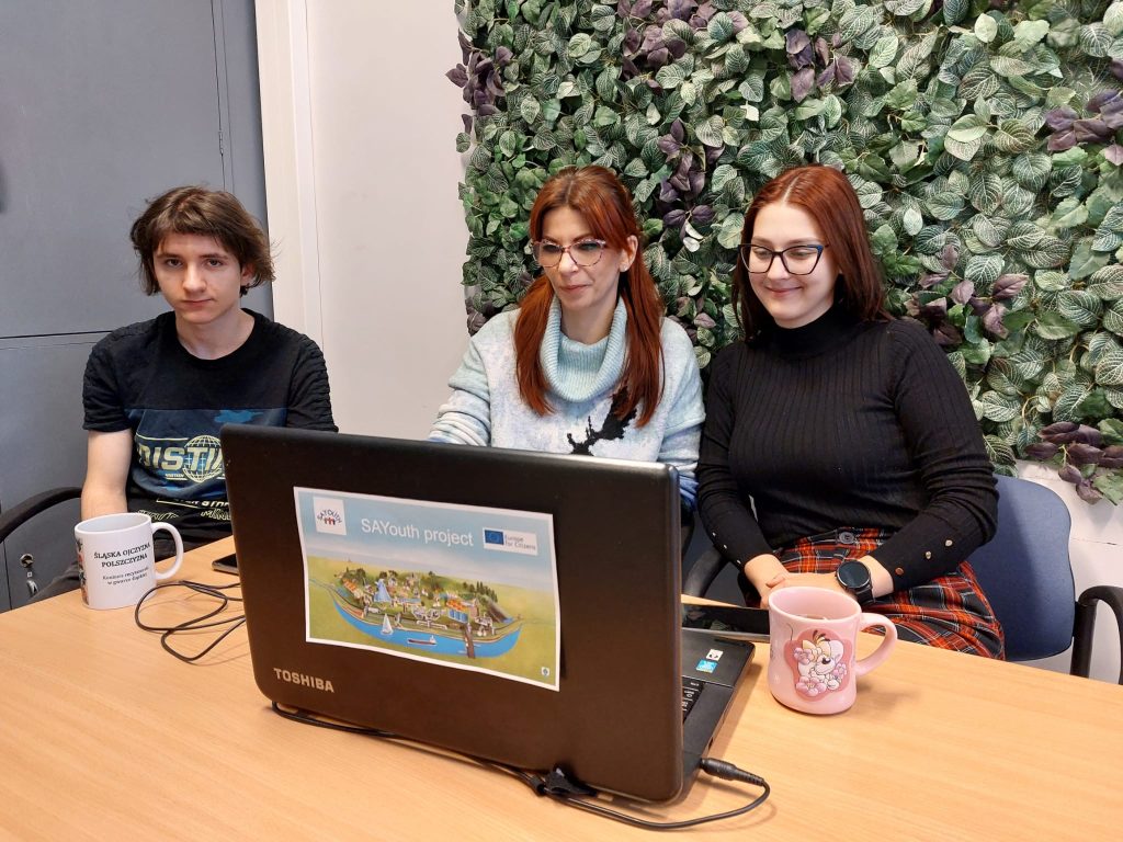 Podsumowujące spotkanie online w ramach projektu SAYouth