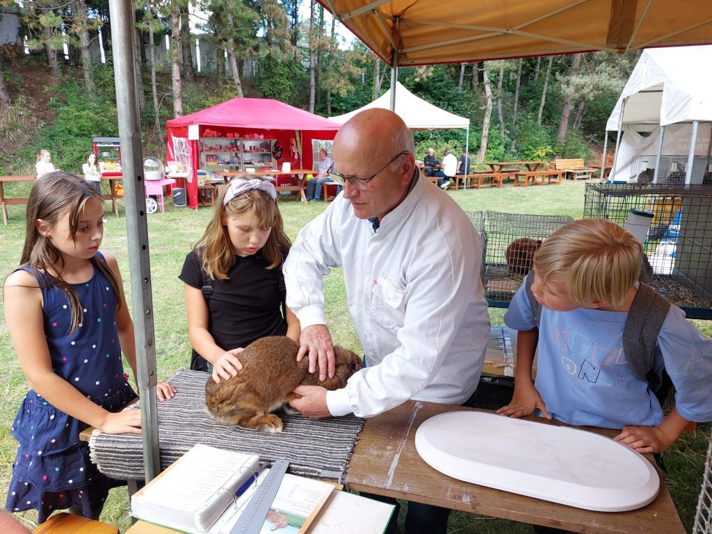 Wystawa Hodowców Drobnego Inwentarza w Kosztowach
