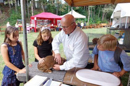 Wystawa Hodowców Drobnego Inwentarza w Kosztowach