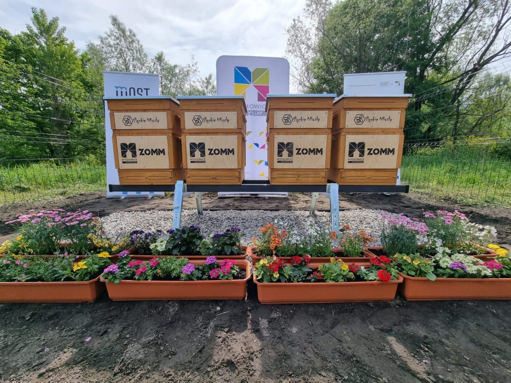 Otwarcie miejskich pasiek edukacyjnych